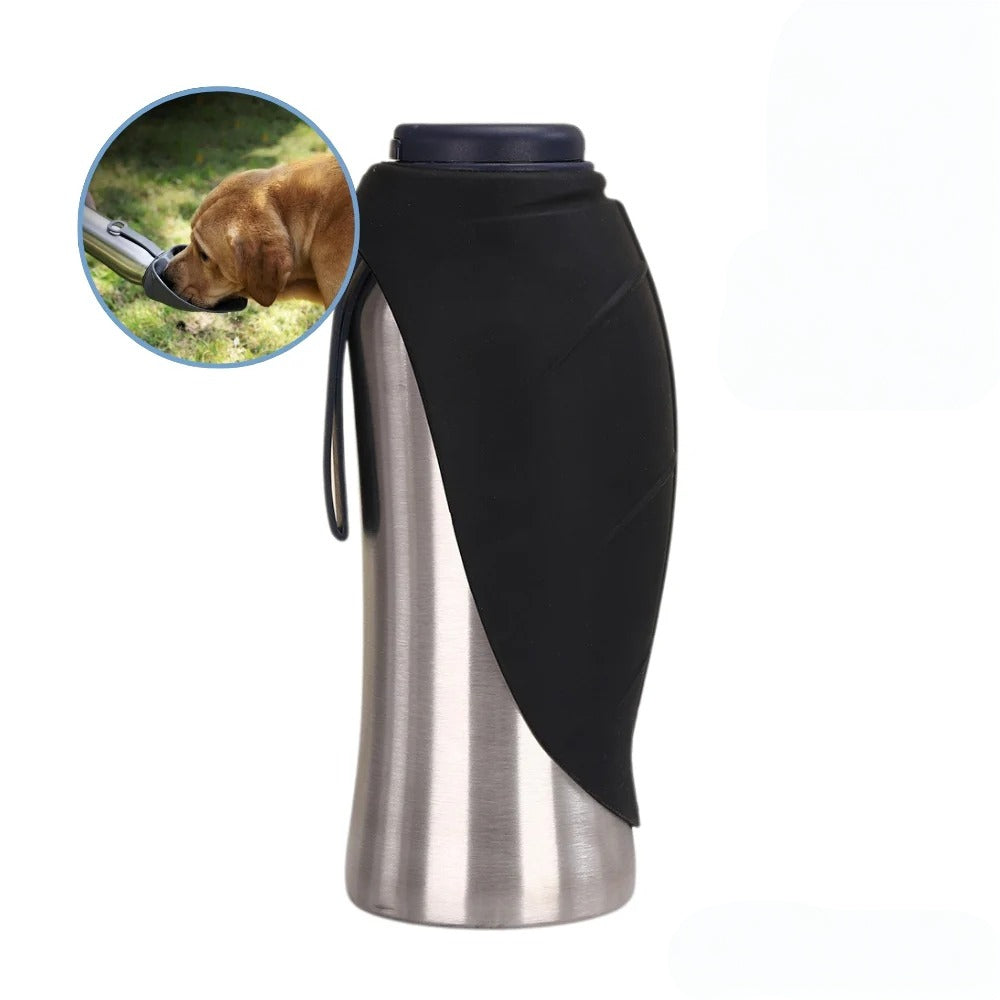 Stainless Steel Travel Bottle For Dogs Hydration On The Go | Temsk