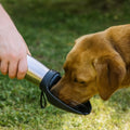 Stainless Steel Travel Bottle For Dogs Hydration On The Go | Temsk