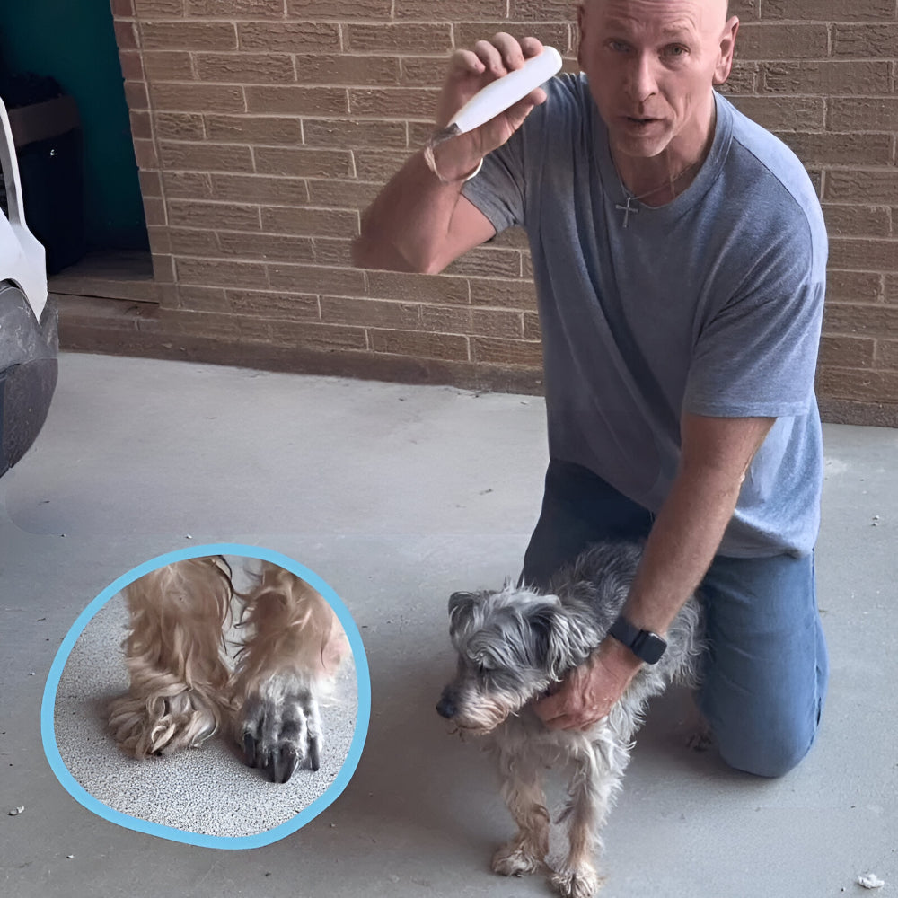Quiet Rechargeable Paw Trimmer for Dog Grooming Tool | Temsk