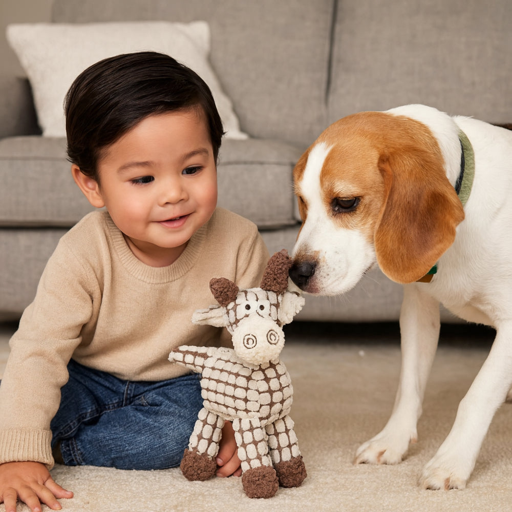 Rope Dog Toy For Chew And Tug With Squeaker Sound Fun | Temsk