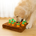 Dog Toy With Snuffle Mat For Interactive Treat Foraging And Mental Stimulation | Temsk