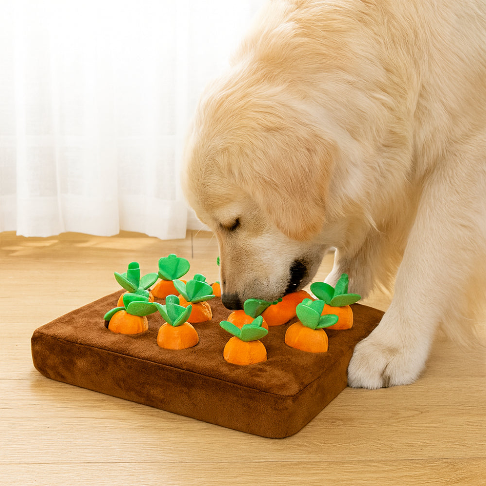 Dog Toy With Snuffle Mat For Interactive Treat Foraging And Mental Stimulation | Temsk
