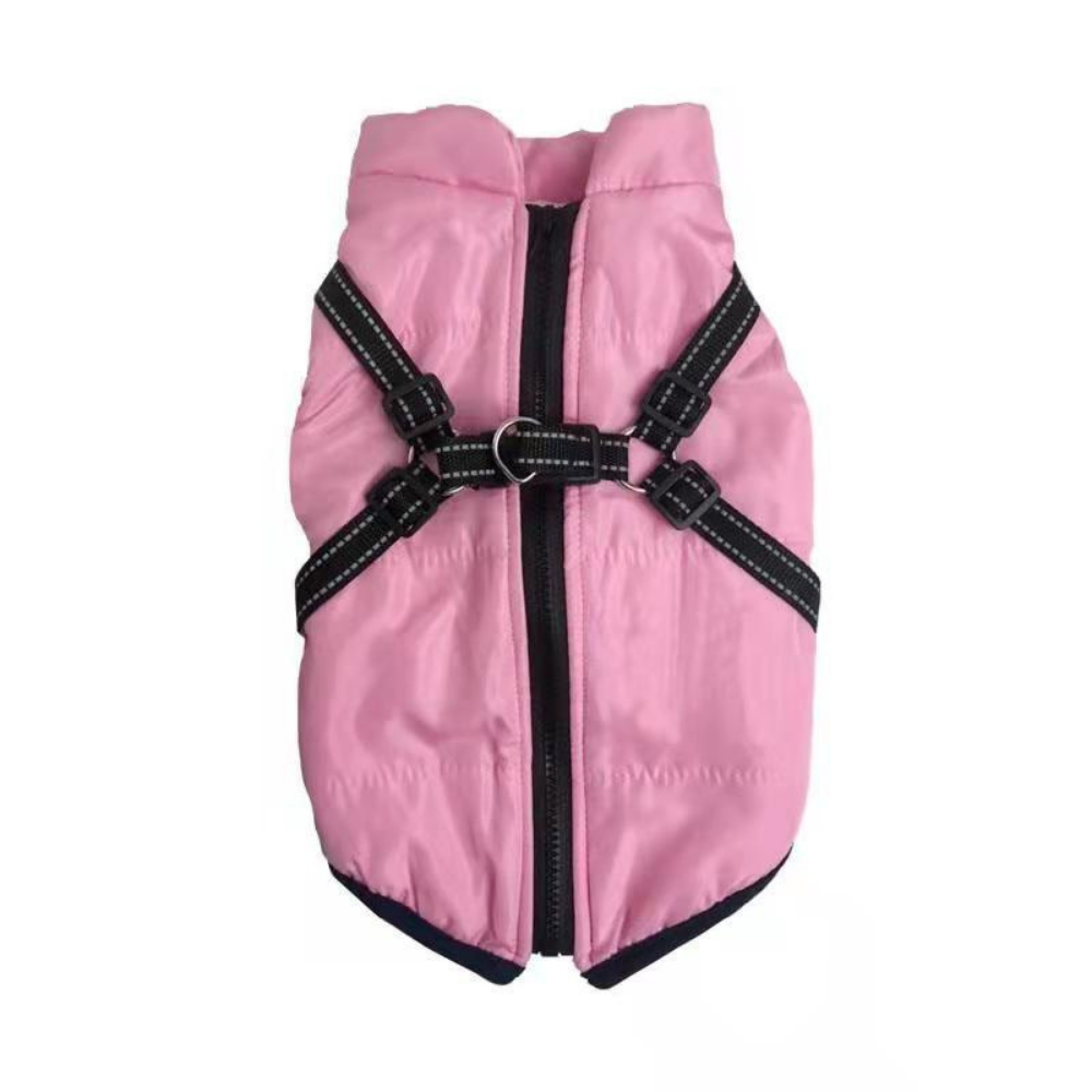 Cozy Winter Coat For Dogs For Outdoor Walks And Adventures | Temsk