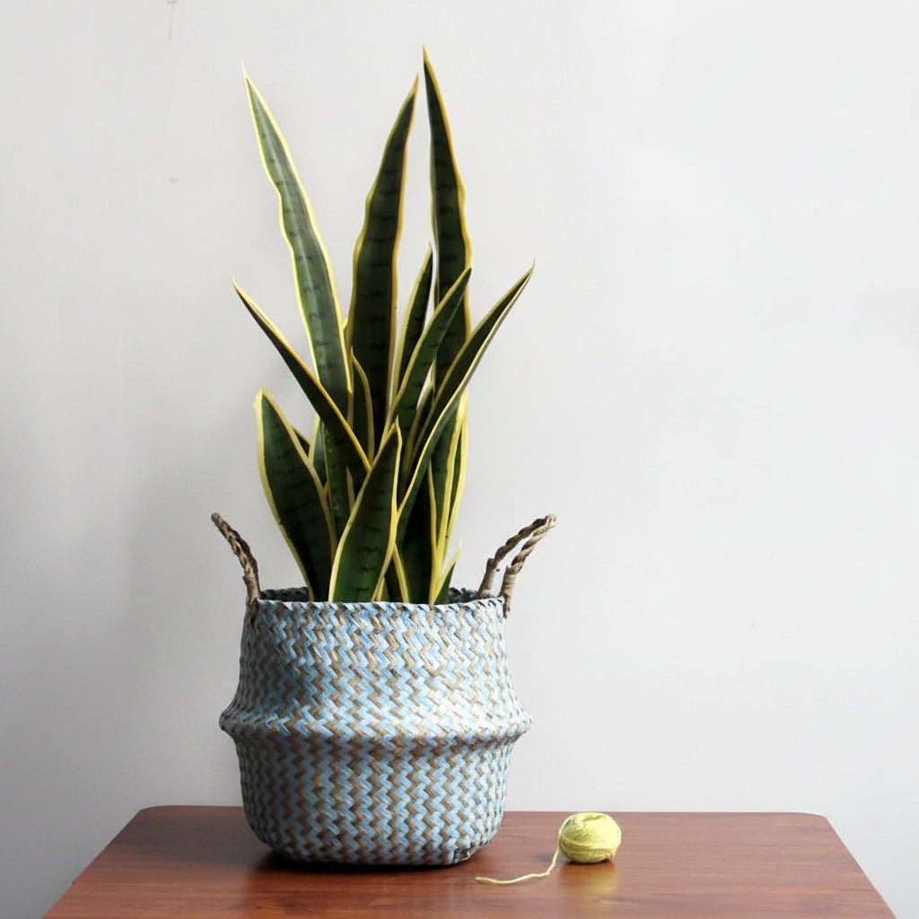 AuroraWeave Handmade Boho Willow Basket Foldable Plant Basket | Temsk