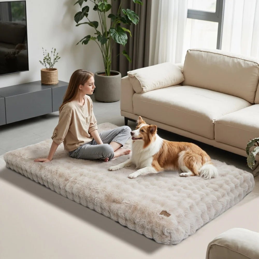 CozyPaw Luxe Thick Plush Bed With Water Repellent Cover | Temsk
