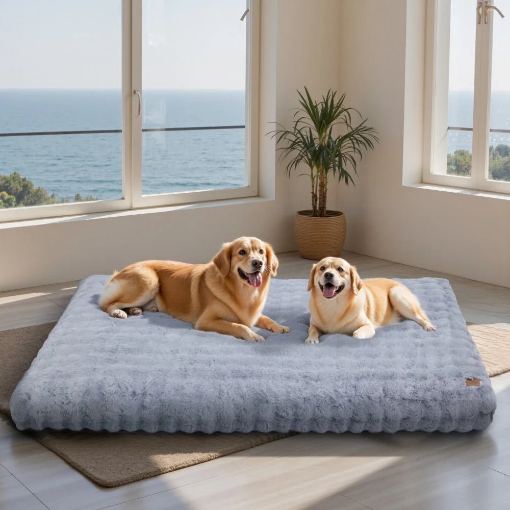CozyPaw Luxe Thick Plush Bed With Water Repellent Cover | Temsk