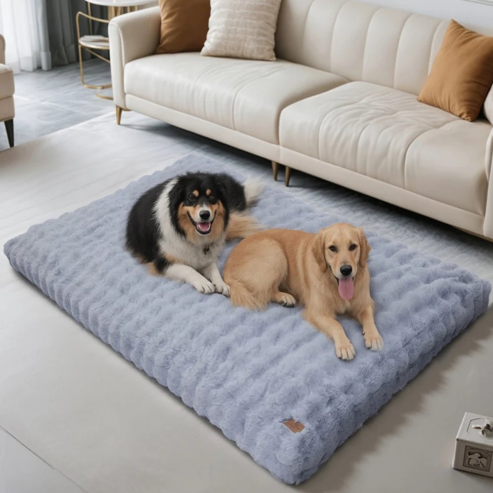 CozyPaw Luxe Thick Plush Bed With Water Repellent Cover | Temsk