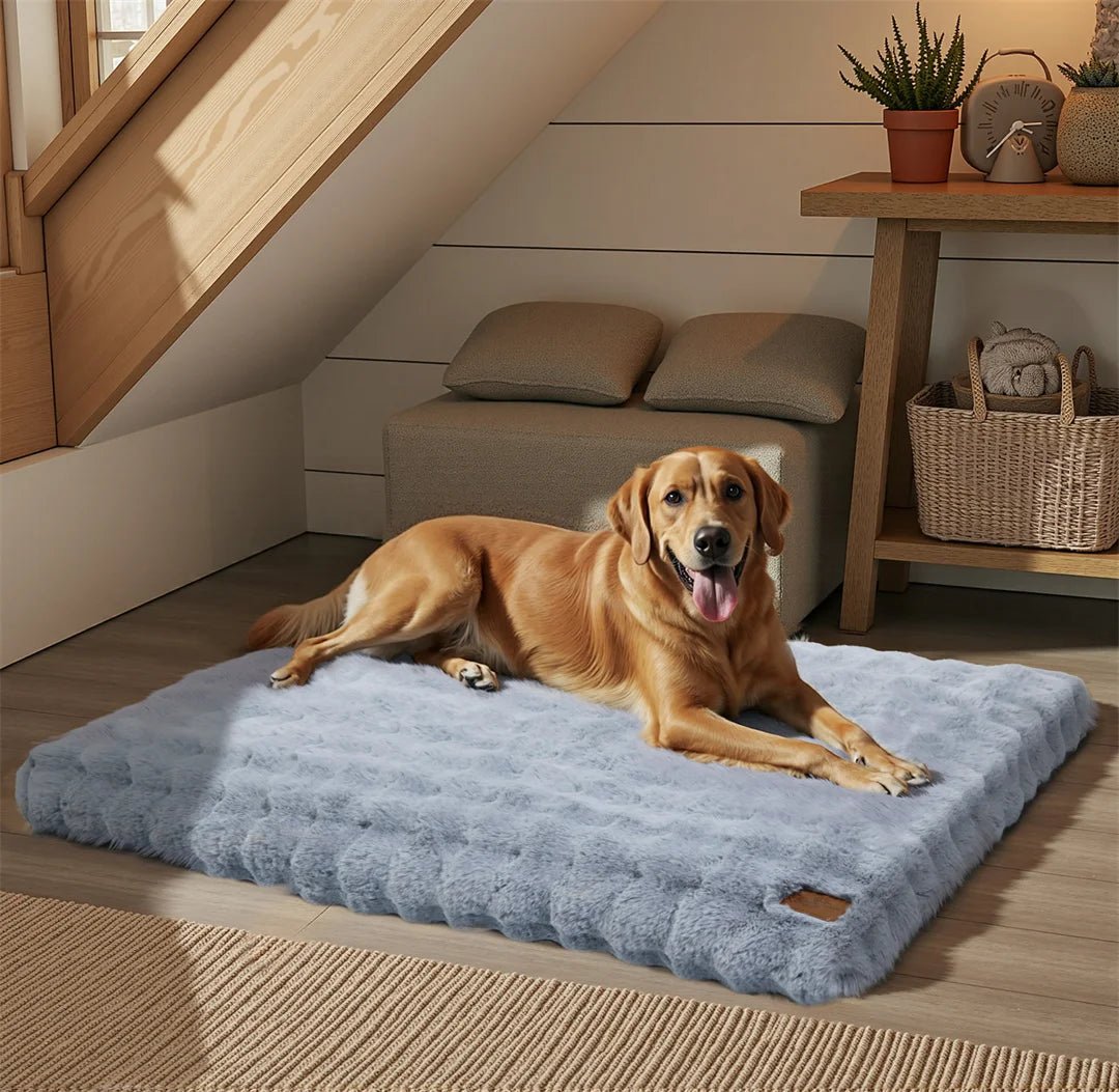 CozyPaw Luxe Thick Plush Bed With Water Repellent Cover | Temsk