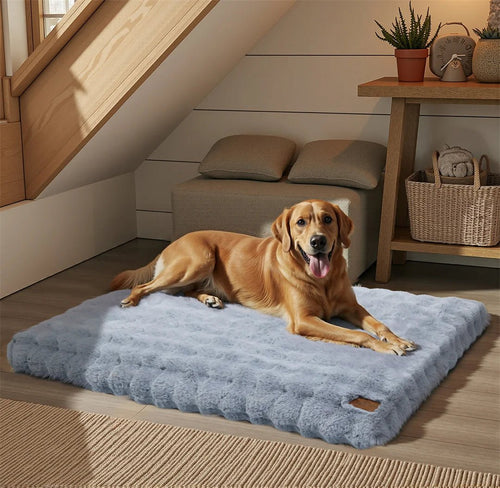 CozyPaw Luxe Thick Plush Pet Bed With Water-Repellent Cover For Warm Dry Pets | Temsk