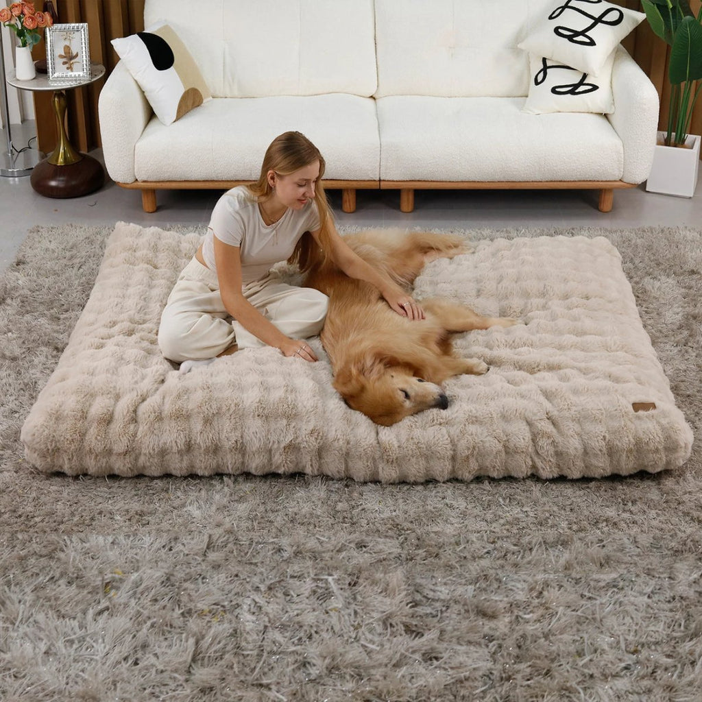 CozyPaw Luxe Thick Plush Bed With Water Repellent Cover | Temsk