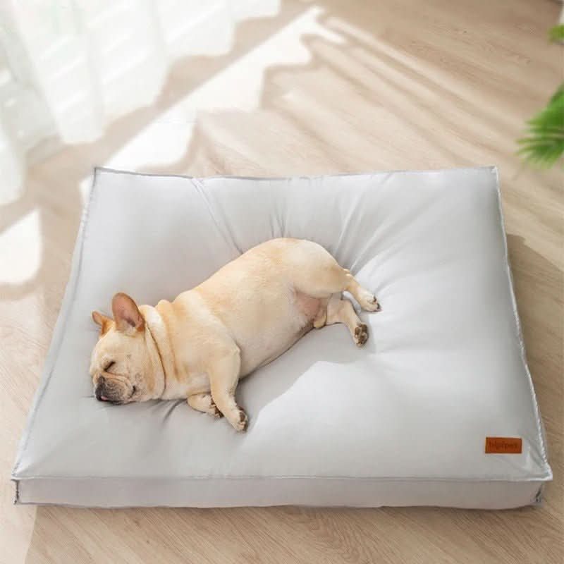 CozyPaw Orthopedic Dog Bed With Washable Memory Foam Waterproof Scratch Resistant | Temsk