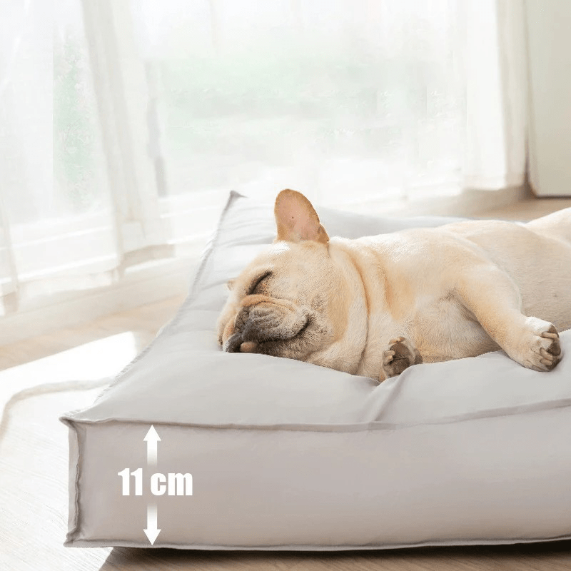 CozyPaw Orthopedic Dog Bed With Washable Memory Foam Waterproof Scratch Resistant | Temsk