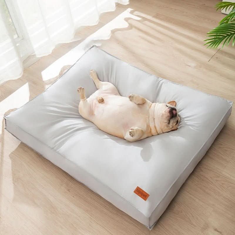 CozyPaw Orthopedic Dog Bed With Washable Memory Foam Waterproof Scratch Resistant | Temsk