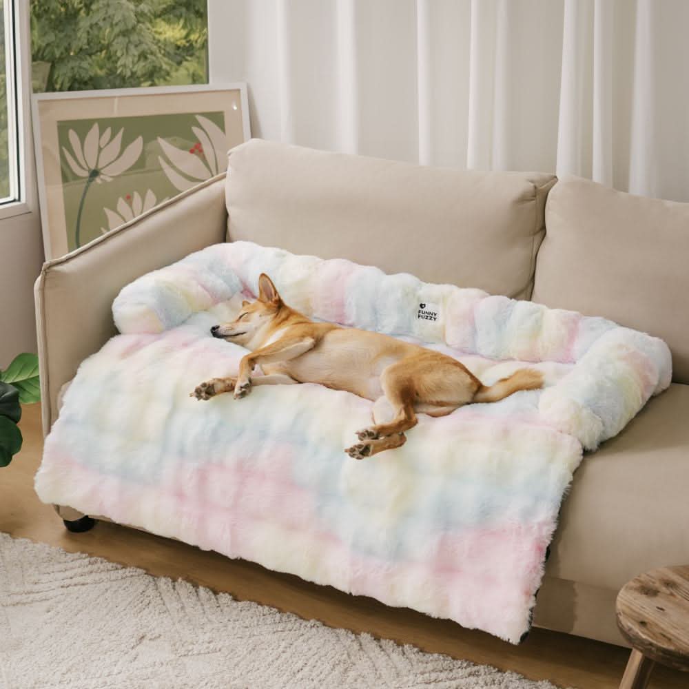 DreamNest Cozy Dog Sofa Bed With Furniture Protection | Temsk