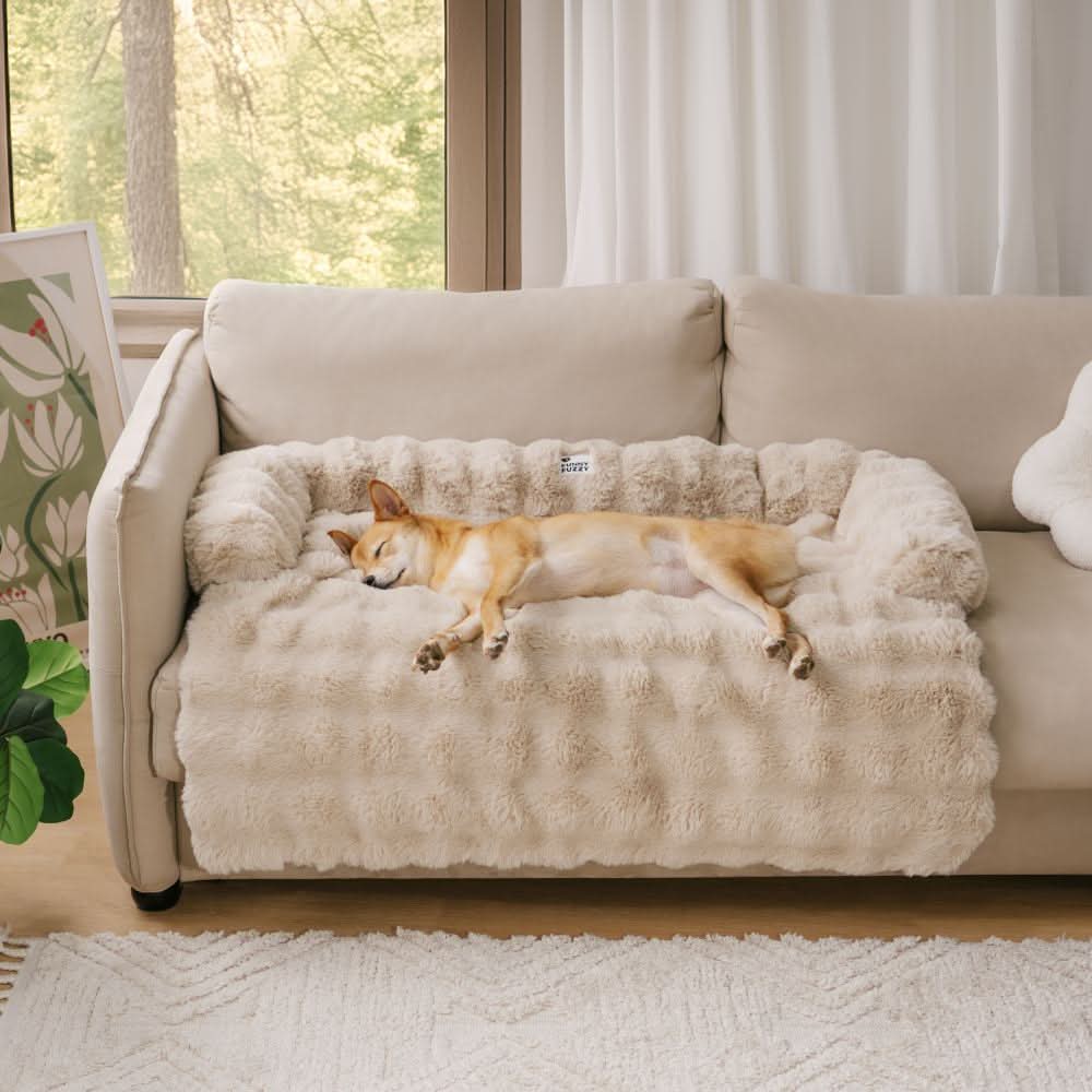 DreamNest Cozy Dog Sofa Bed With Furniture Protection | Temsk