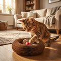 Foldable Corrugated Cardboard Cat Scratcher With Ball Track 4 In 1 | Temsk