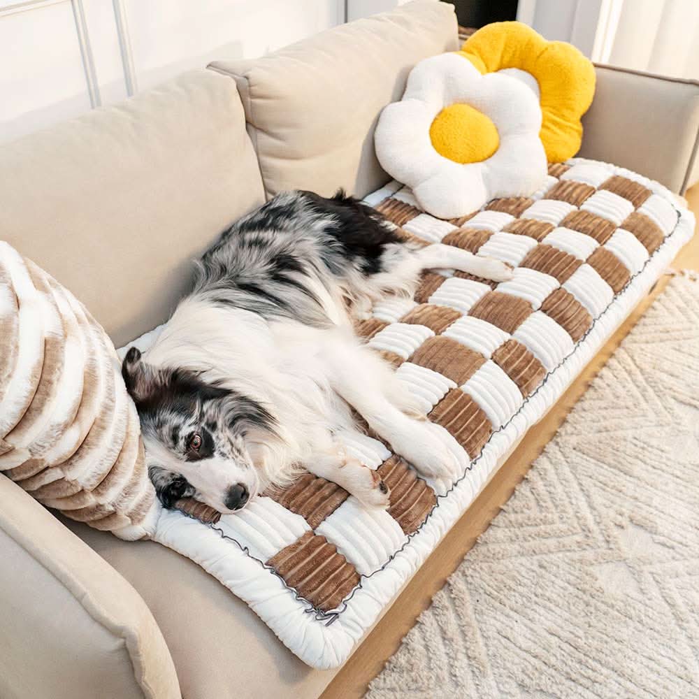 CozyPaw Blanket For Pets With Furniture Protection And Anti Slip | Temsk