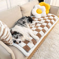 CozyPaw Blanket For Pets With Furniture Protection And Anti Slip | Temsk