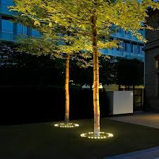 Faretto da Giardino LED a Risparmio Energetico LuminaGuard per Illuminazione Duratura | Temsk