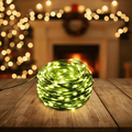 AuroraLeaf Warm LED String Lights For Stylish Outdoor And Garden Decoration | Temsk