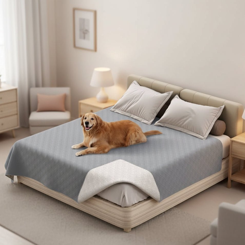 PawGuard Pro Premium Waterproof Pet Blanket For Furniture Protection | Temsk