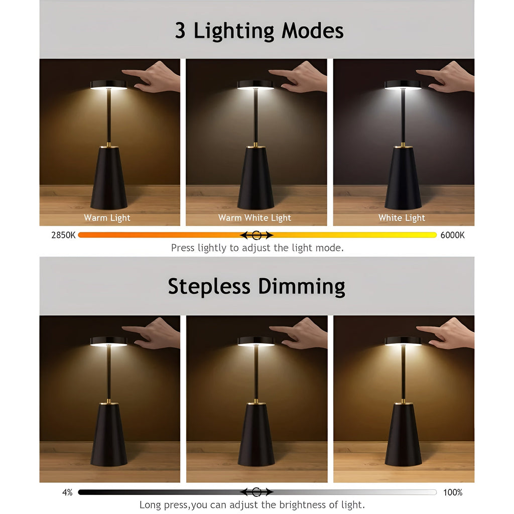 Sleek Lamp Cordless Table Lamp Rechargeable Table Lamp | Temsk