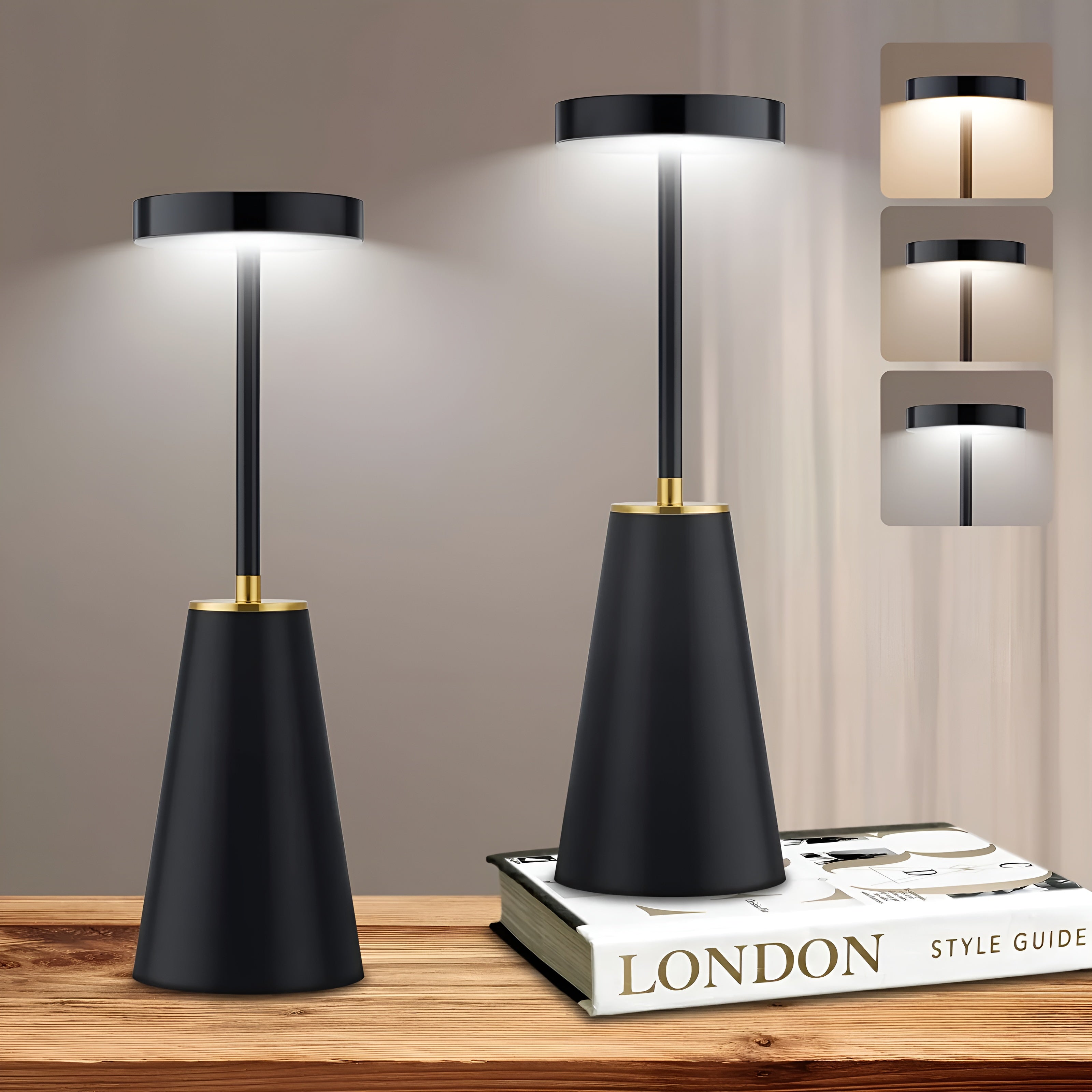 Sleek Lamp Cordless Table Lamp Rechargeable Table Lamp | Temsk