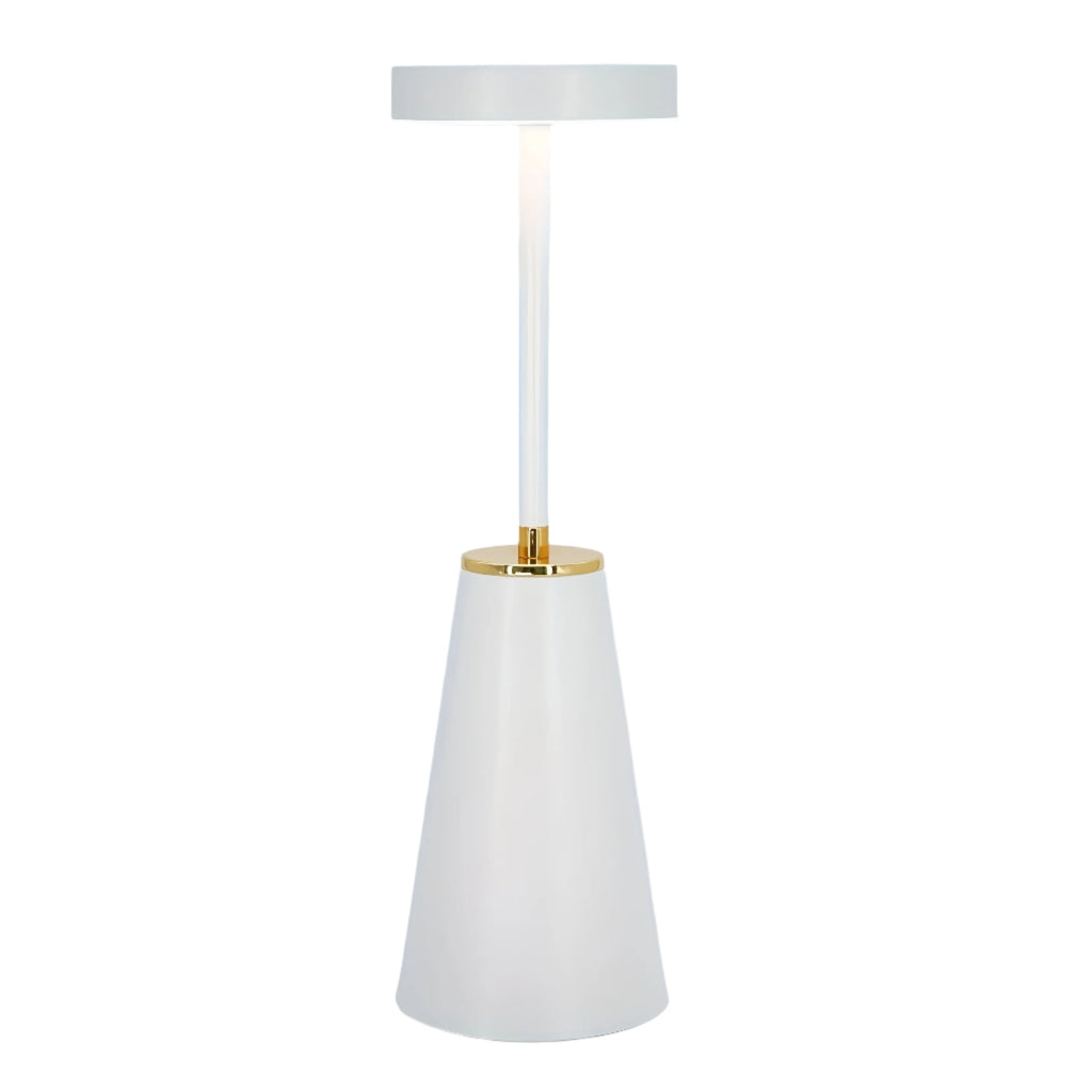 Sleek Lamp Cordless Table Lamp Rechargeable Table Lamp | Temsk