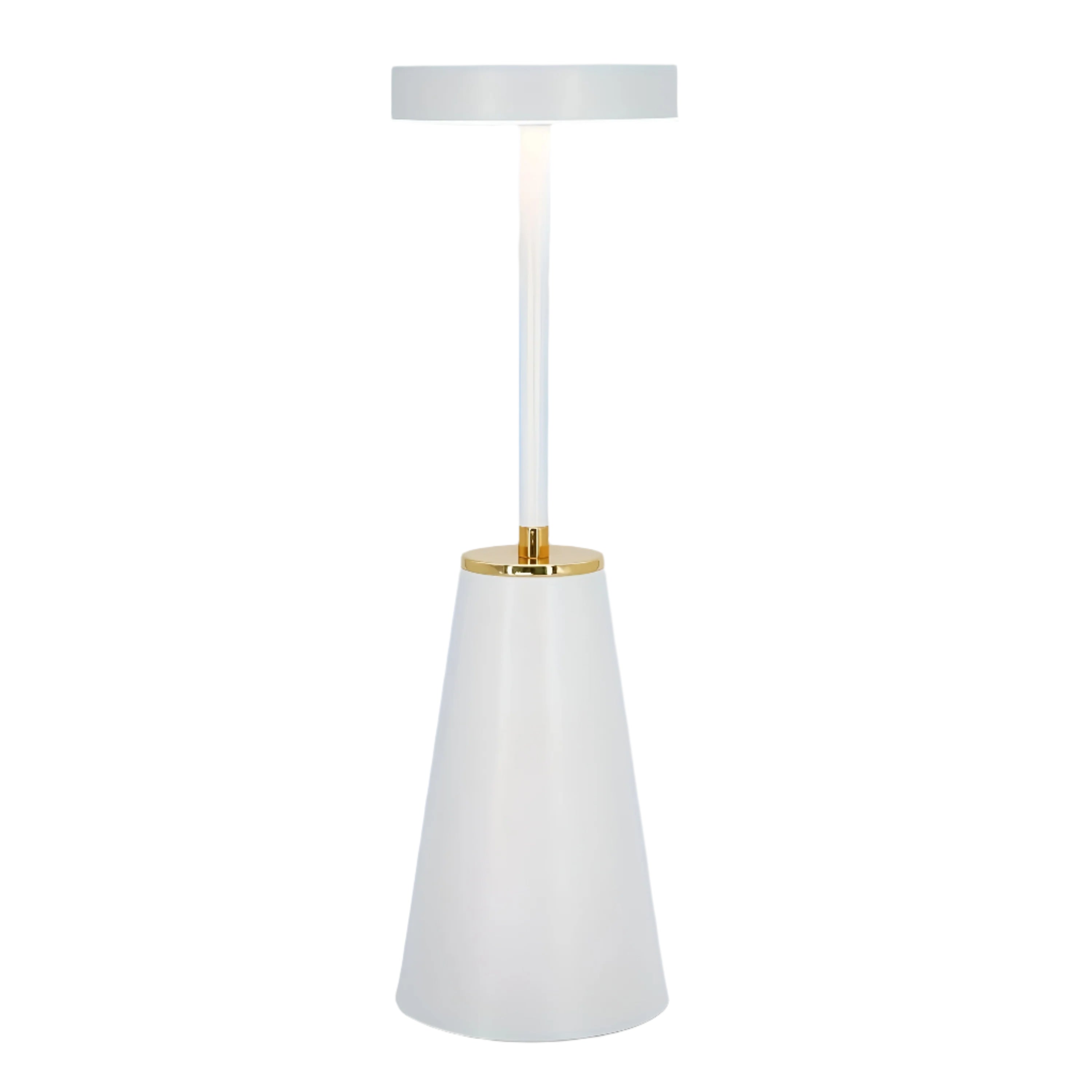 Sleek Lamp Cordless Table Lamp Rechargeable Table Lamp | Temsk