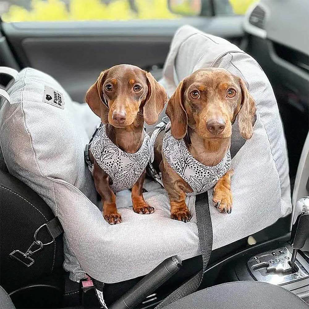 CozyTrail Dog Seat Bed With Safety Belt And Non Slip Base For Car And Home | Temsk