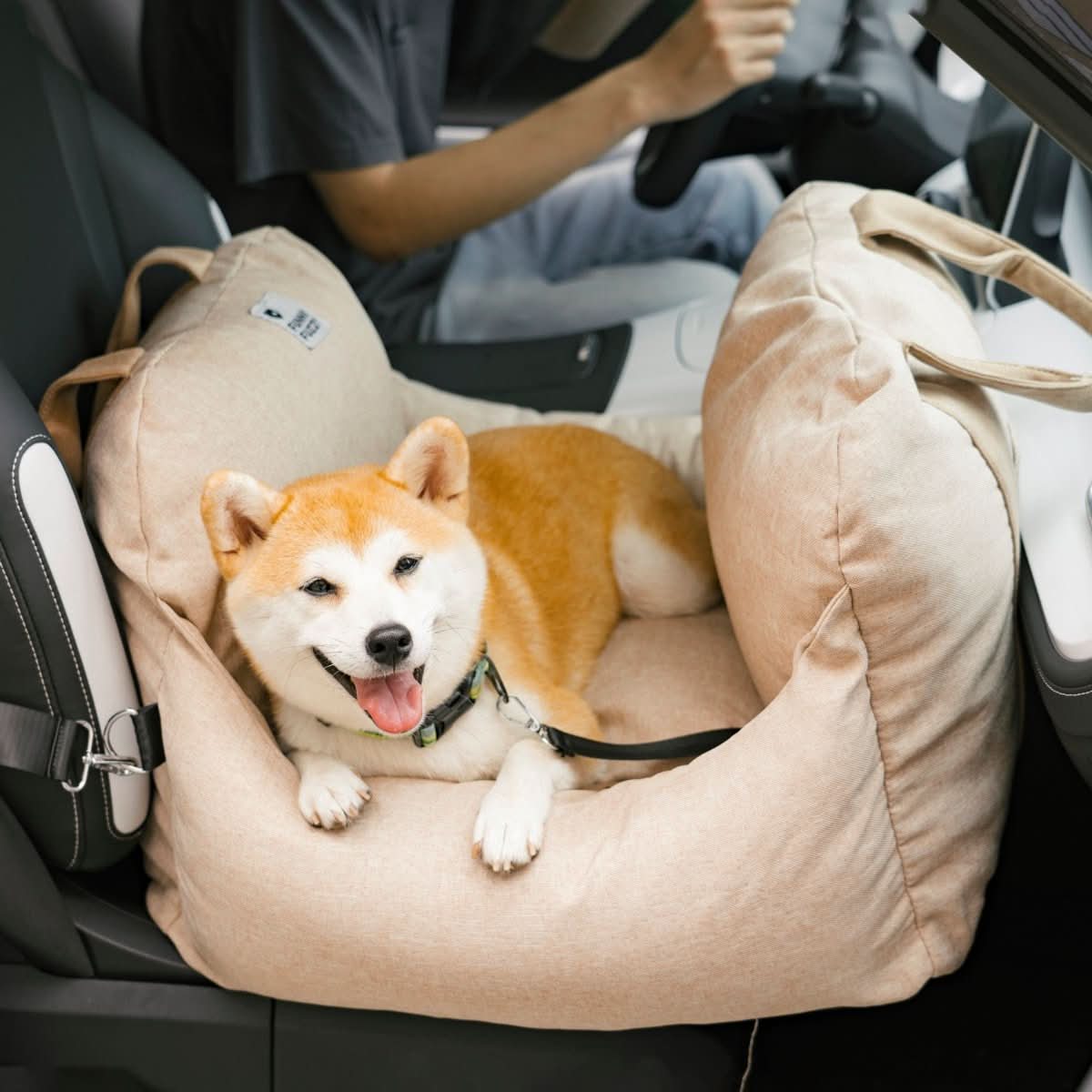CozyTrail Dog Seat Bed With Safety Belt And Non Slip Base For Car And Home | Temsk