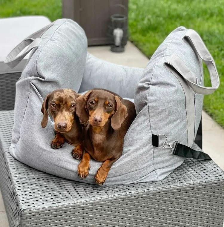 CozyTrail Dog Seat Bed With Safety Belt And Non Slip Base For Car And Home | Temsk