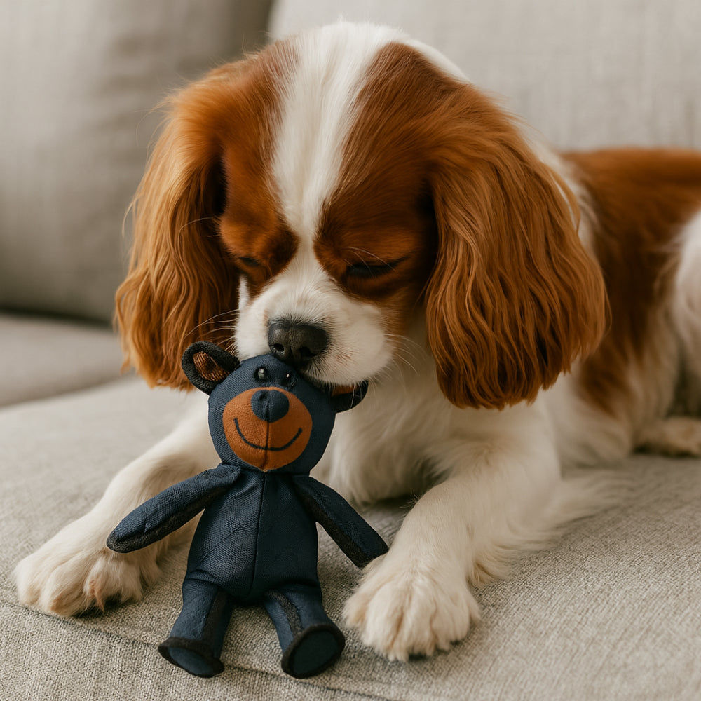 Durable Plush Bear Shape Chew Toy For Dogs Playtime Fun | Temsk