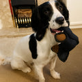 Durable Plush Bear Shape Chew Toy For Dogs Playtime Fun | Temsk