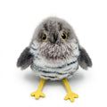 Interactive Flapping-Wing Bird Cat Toy USB-C Rechargeable (Cuckoo, Marsh Tit, Parrot) | Temsk
