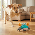 Interactive Crawling Crab Dog Toy With Motion Sensor And USB Rechargeable | Temsk