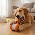 Interactive Dog Ball With Tug Rope Self-Moving Motion Toy For Solo Play | Temsk
