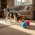 Motion Sensing Interactive Ball Toy For Dogs, Plush TPR, 8 cm | Temsk