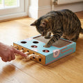 Interactive Whack-a-Mole Cat Toy Box With Corrugated Scratchpad Cardboard | Temsk