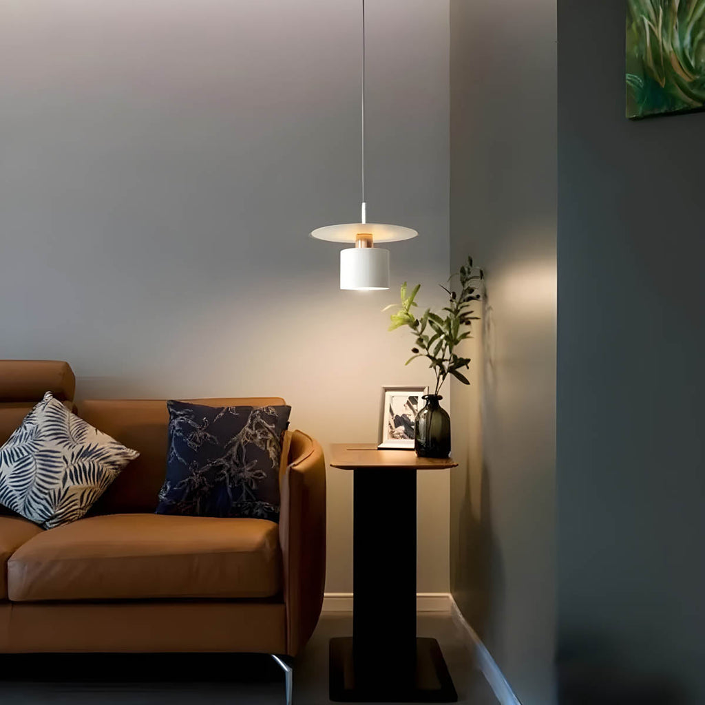 Moderne minimalistische Pendel-Deckenleuchte für zeitgenössische Innenräume | Temsk