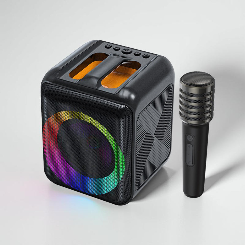 Bluetooth Karaoke Machine With Portable Speaker And Wireless Microphones | Temsk