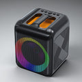 Bluetooth Karaoke Machine With Portable Speaker And Wireless Microphones | Temsk