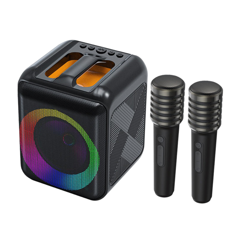 Bluetooth Karaoke Machine With Portable Speaker And Wireless Microphones | Temsk