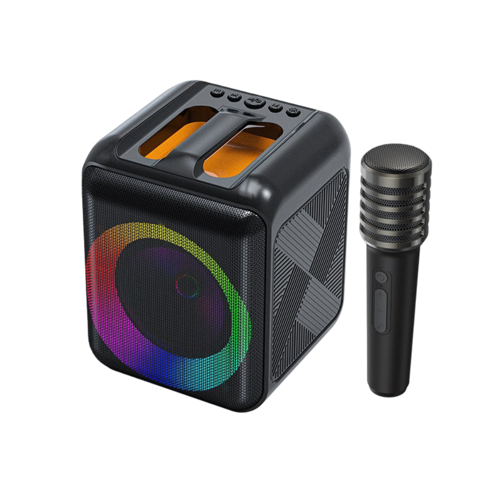 Bluetooth Karaoke Machine With Portable Speaker And Wireless Microphones | Temsk