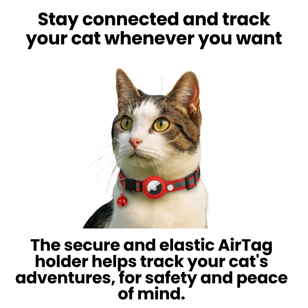 WhiskerTrack GPS Collar For Cats With Reflective Design | Temsk