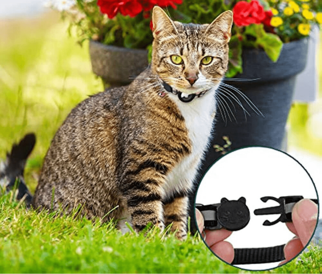 WhiskerTrack GPS Collar For Cats With Reflective Design | Temsk