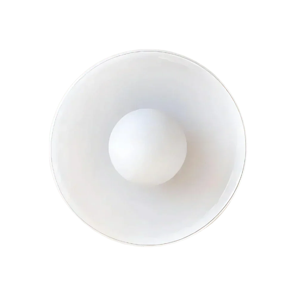 Nordic Style LED Glass Disc Wall And Ceiling Light Fixture, 1 Light | Temsk