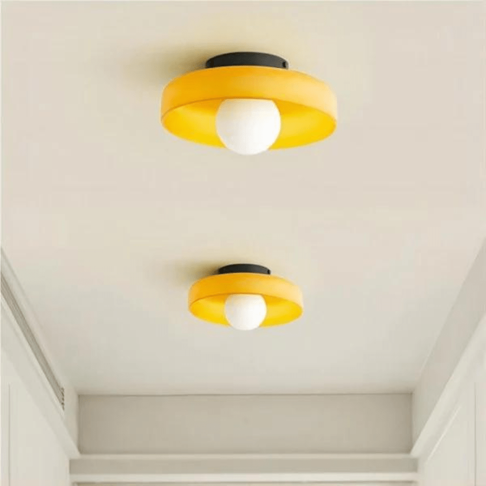 Nordic Style LED Glass Disc Wall And Ceiling Light Fixture, 1 Light | Temsk