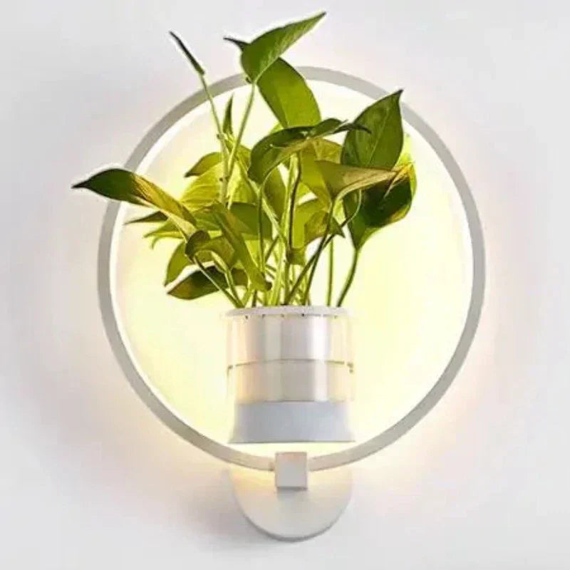 AuraSconce Modern Wall Lamp With Planter For Living Rooms And Hallways | Temsk