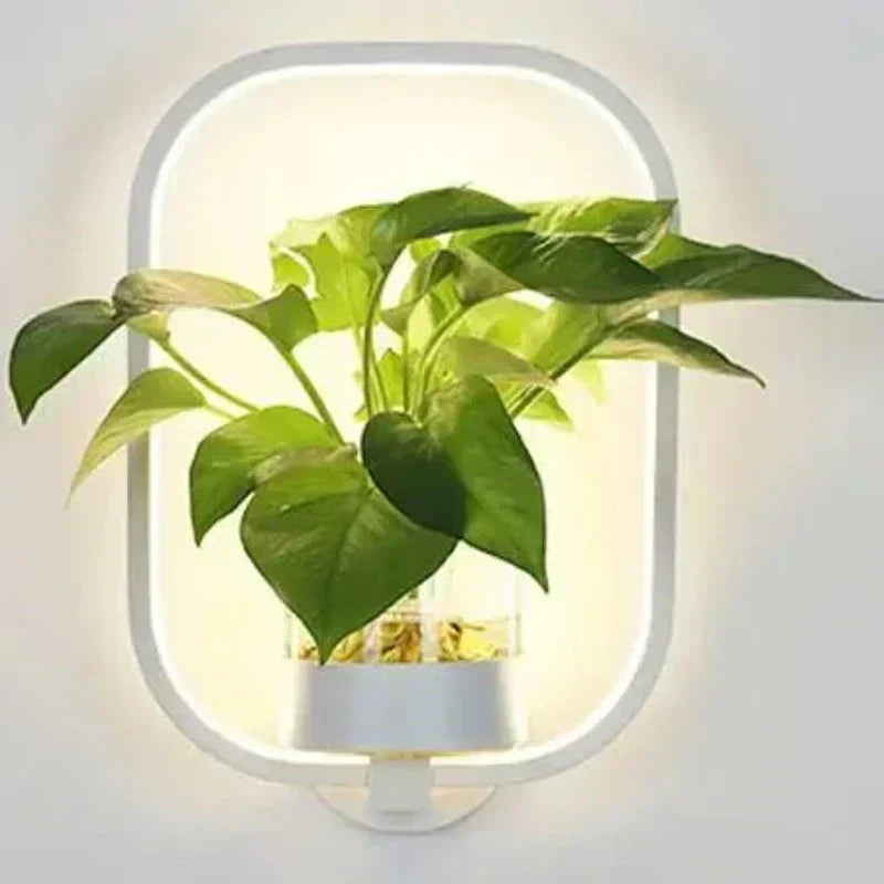 AuraSconce Modern Wall Lamp With Planter For Living Rooms And Hallways | Temsk
